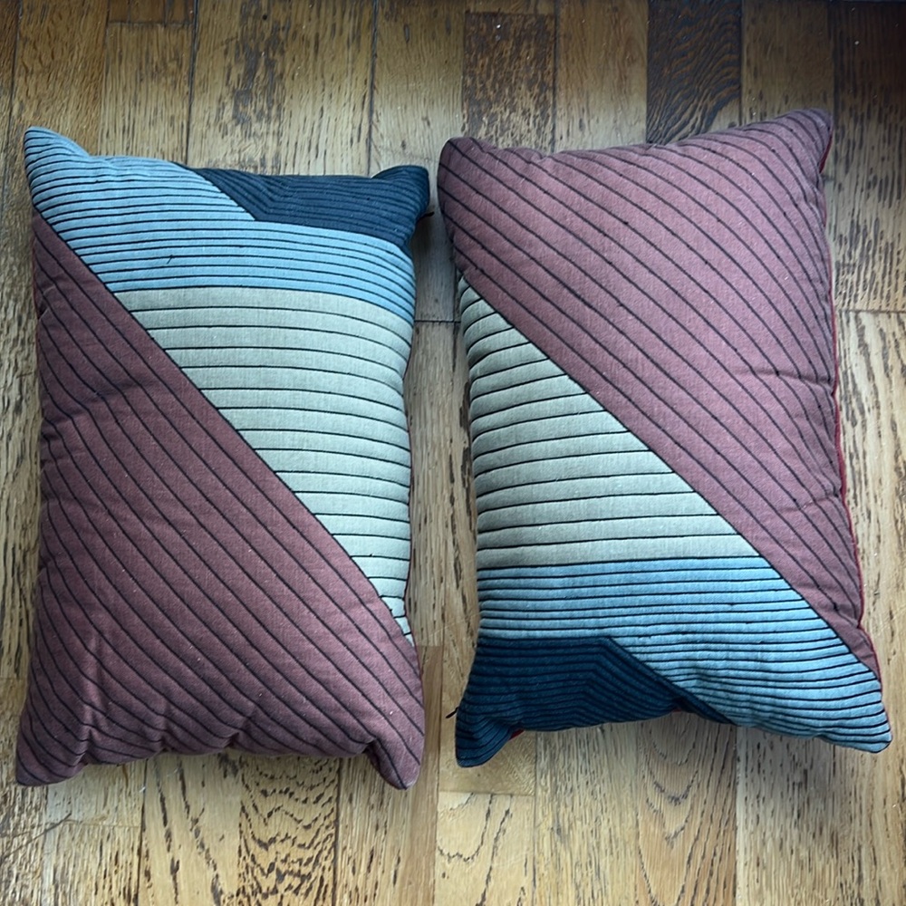 Pair of CB2 Pata Pillows